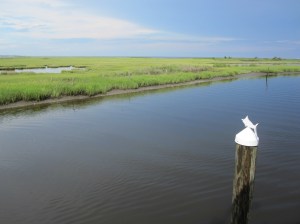 Oyster Creek Inn. Meadows 1