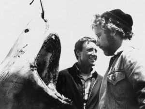 635699696981337909-sharkx-large